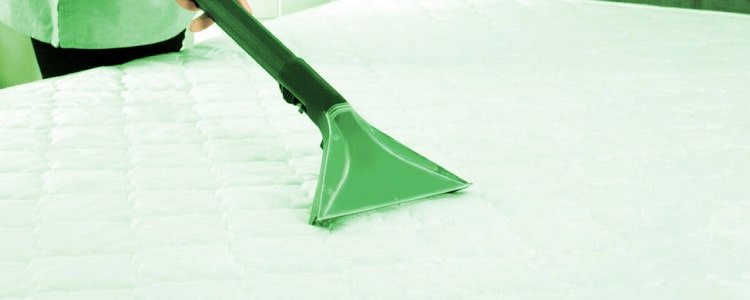 Best Mattress Cleaning Eltham