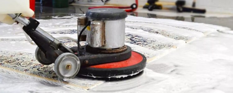 Best Rug Cleaning Eltham
