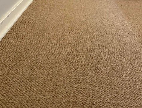 carpet cleaning eltham