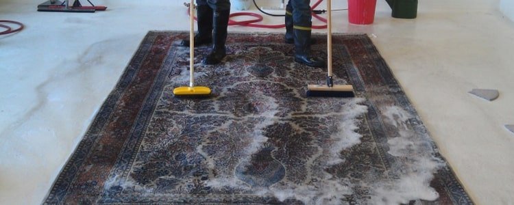 rug cleaning eltham